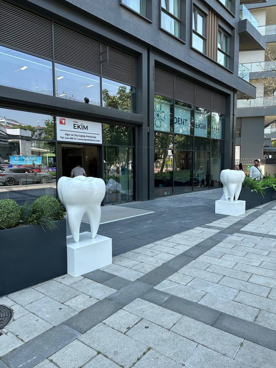 Kaideli Büyük Diş Heykeli – 170x70x70 cm Diş Sanatı Heykeli – Klinikler ve Tıbbi Alanlar için Dayanıklı Dış Mekan Dekoru