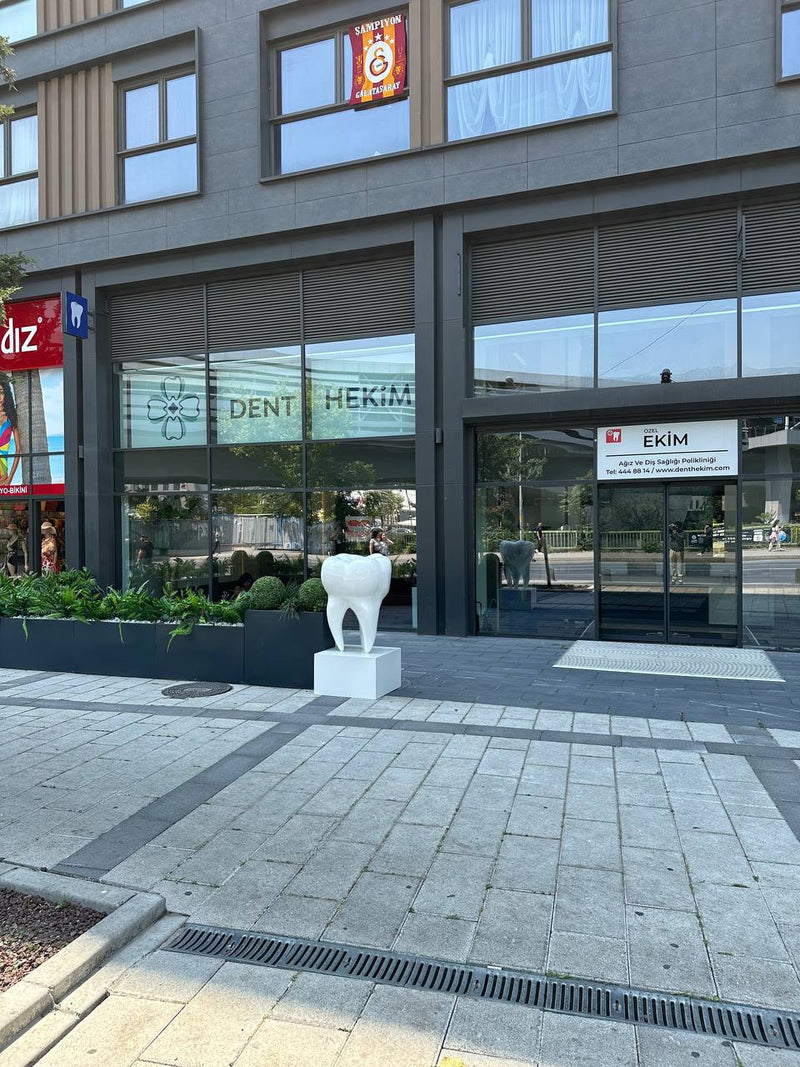 Molar 170 | Dev Diş Formlu Kaideli Heykel